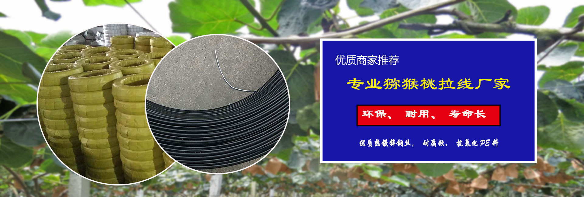 PVC包塑絲_PE包塑絲_鍍鋅包塑絲 - 安平縣鑫合金屬絲網(wǎng)廠